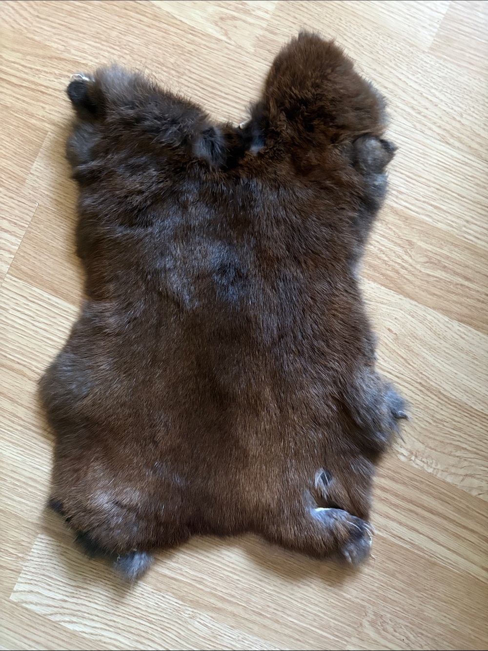 B0097 rabbit pelt
